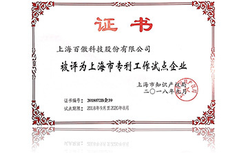 上海市專(zhuan)利(li)工(gong)作試(shi)點(dian)企(qi)業(ye)
